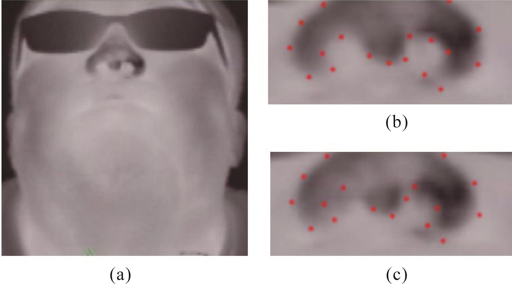 IR thermography for monitoring respiration （a） the features of nostril with exhalation, （c） the features of nostril with inhalation