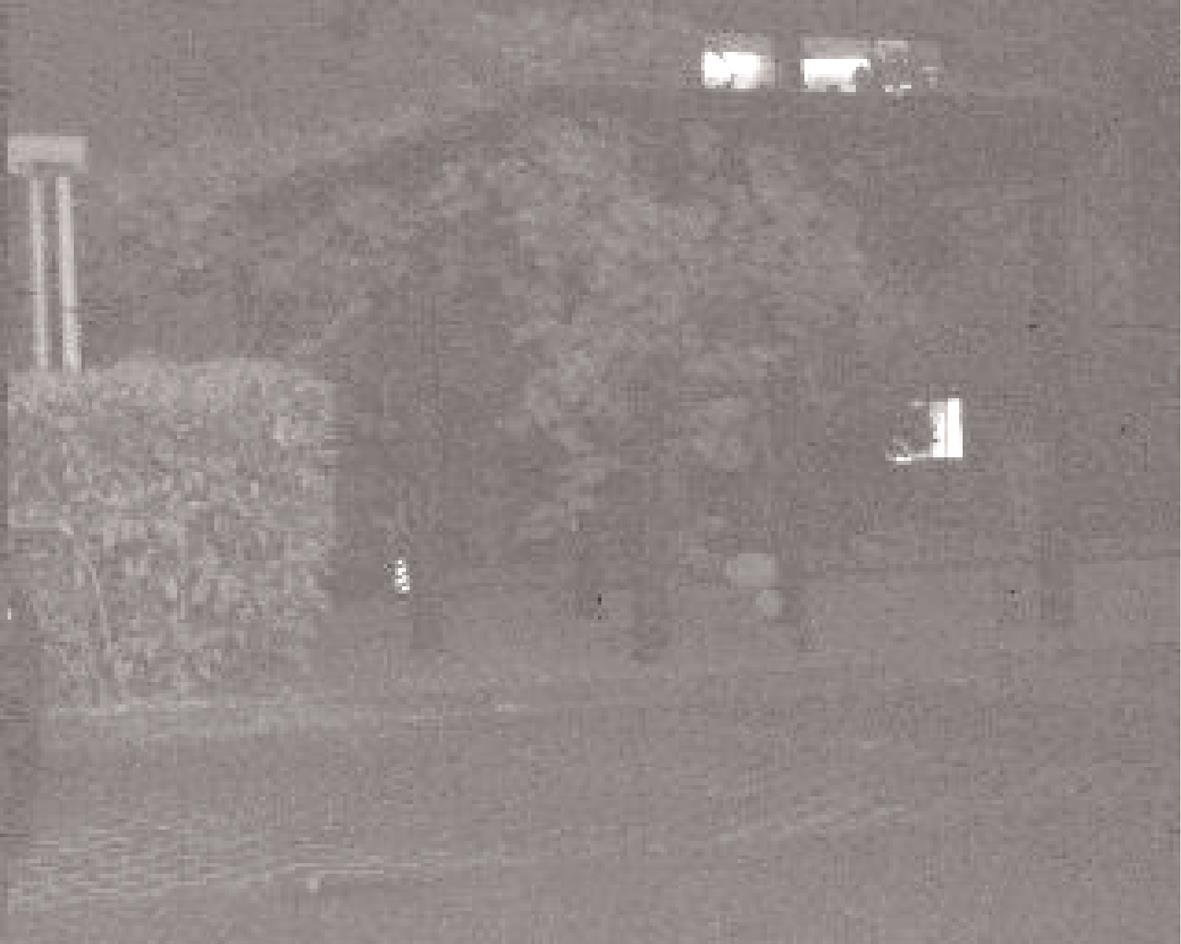 Raw image of short-wave infrared night vision