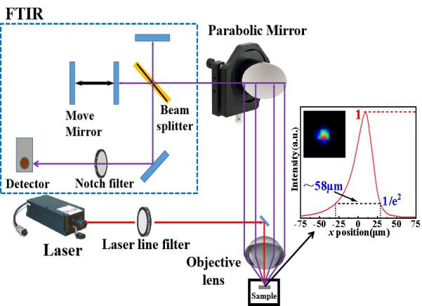 Schematic of FT Raman measurement. Inset: spatial intensity profile of the 1064 nm pumping light at the confocal point measured by an optical beam profiler