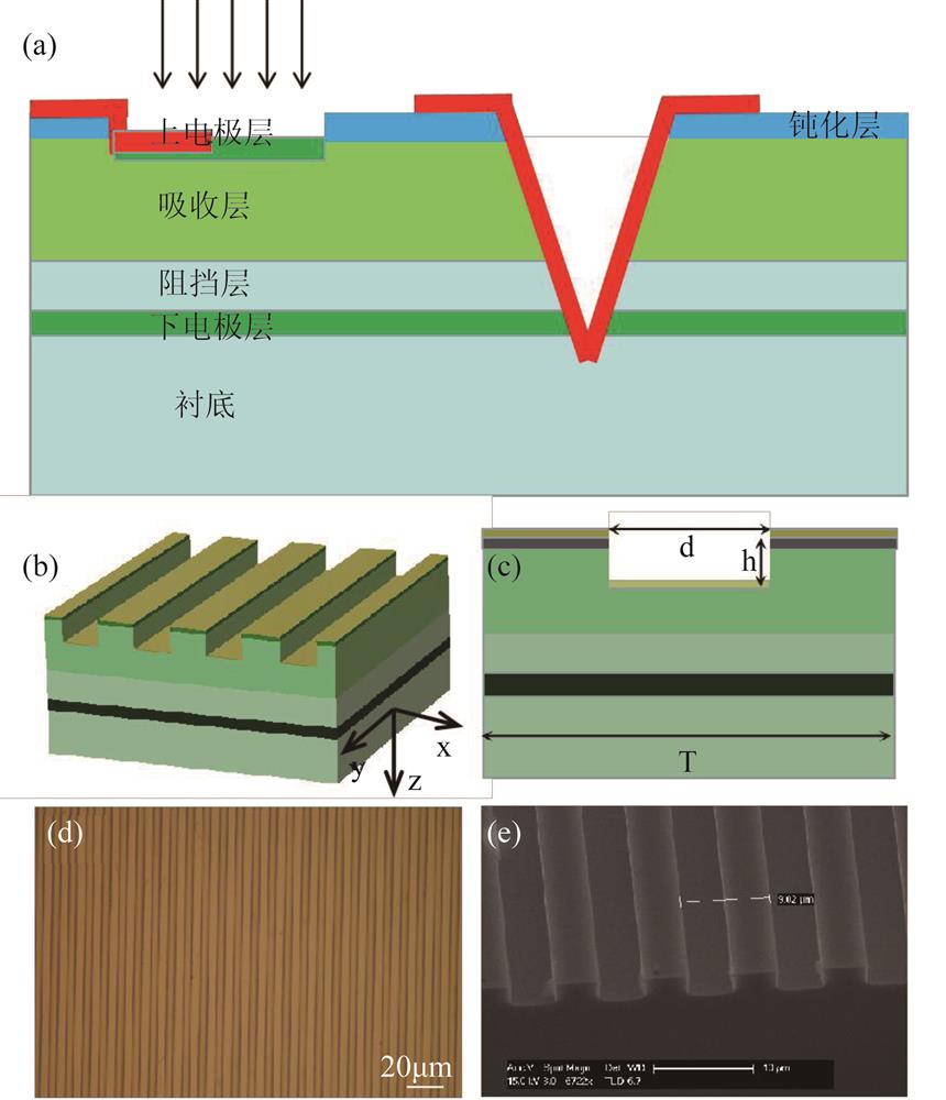 （a） Schematic of a traditional infrared epitaxial blocked impurity band （BIB） detector， （b） 3D， （c） 2D schematics of the metasurface-based antireflection structure for the BIB detector， （d） An optical microscope image ， （e） a scanning electron microscopy （SEM） image of the metasurface-based antireflection structure