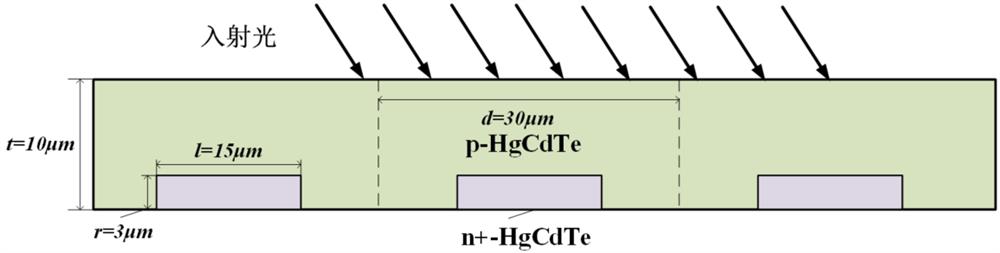 Schematic diagram of HgCdTe infrared focal plane array