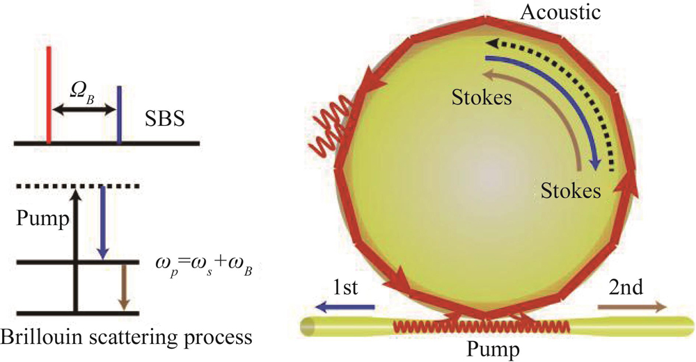 The schematic description of SBS process in WGM resonator