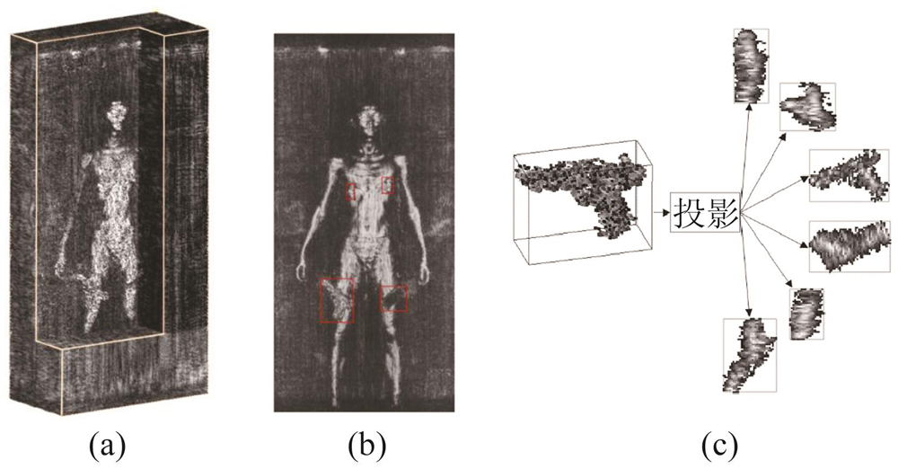 Projection of the AMMW holographic image (a) AMMW holographic image, (b) the resulting 2D front view of performing projection along the Z axis of the holographic image in Fig. 2(a), (c) the shape and size changes caused by projecting a 3D object into 2D views