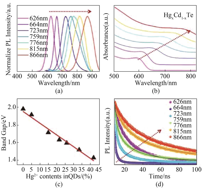 （a）Photoluminescence spectra，（b）absorption spectra of HgxCd1-xTe quantum dots with the increase of Hg2+ concentration，（c）band gap of HgxCd1-xTe quantum dots with the increase of Hg2+ concentration，and（d）time-resolved photoluminescence decay curves of HgxCd1-xTe quantum dots
