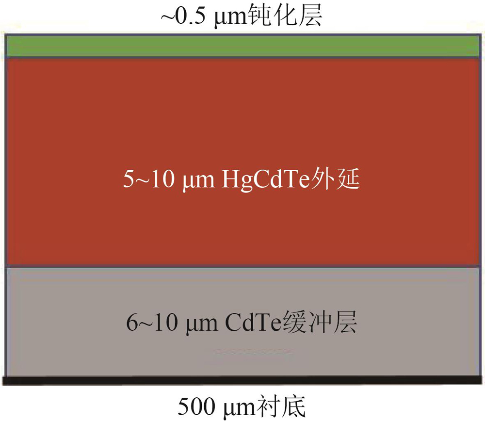 Cross section of HgCdTe with passivation layers