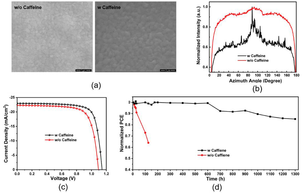 （a）Morphology images of perovskite films with and without caffeine，（b）normalized azimuth angle plots along（110）crystal plane from the 2D grazing incidence wide-angle X-ray diffraction patterns of perovskite films with and without caffeine，（c）J-V curves of PeSCs with and without caffeine，（d）normalized PCE decays upon 85 ℃ continuous annealing in nitrogen box［58］