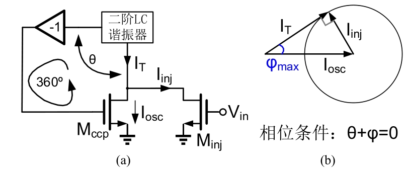 （a）Model of half circuit of the ILFM，（b）the corresponding phasor diagram