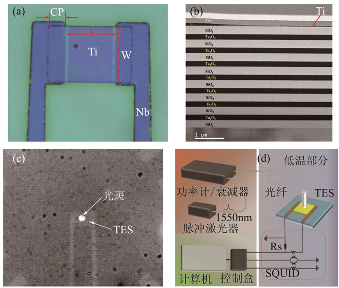 (a) Photo of Ti TES-based superconducting single-photon detector, L and W present the device length and width, CP is the overlap of contact pads. (b) TEM images of Ti TES, the periodic distribution structure is the dielectric mirror, on the left is the Nb/Ti overlapping area, on the right is the Ti active area. (c) IR image of light spot from the single-mode fiber and TES active area. (d) Measurement setup of TES-based superconducting single-photon detectors responding to an attenuated pulse signal, induced current is firstly amplified by SQUID