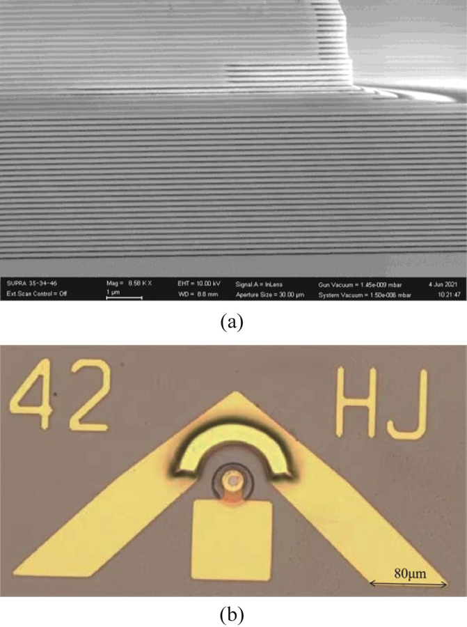 （a）SEM image of the cross section of the device after wet oxidation, the dark lines are the oxidized high-Al-composition layers,（b）top-view of fabricated VCSEL with ground-signal-ground（GSG）probe pads