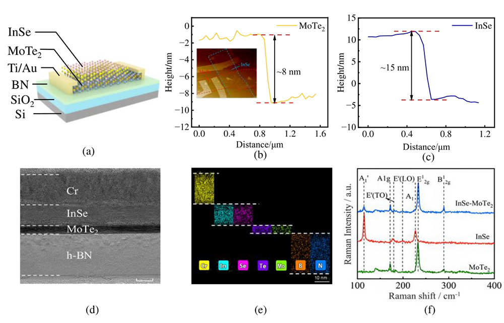 Characterization of InSe/MoTe2 heterostructure： （a） Schematic diagram of the InSe/MoTe2 heterostructure； （b） The AFM image of MoTe2 flakes. Inset： morphological characteristics of the InSe/MoTe2 heterojunction； （c） The AFM image of InSe flakes； （d） HRTEM image； （e） EDS of the corresponding elements of the photodetector； （f） Raman spectra of pristine InSe，MoTe2 and overlapped region.
