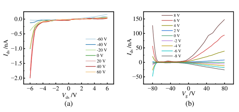 Electrical I-V characteristics of the device based on InSe/MoTe2 heterostructure under non-illumination condition： （a） Ids-Vds output characteristics under various back gate voltages； （b） Ids-Vg transfer curves at various drain voltages.