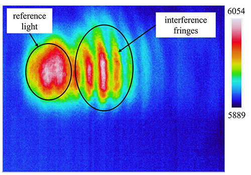 The measured terahertz beam spot including both the reference light and the interference fringes