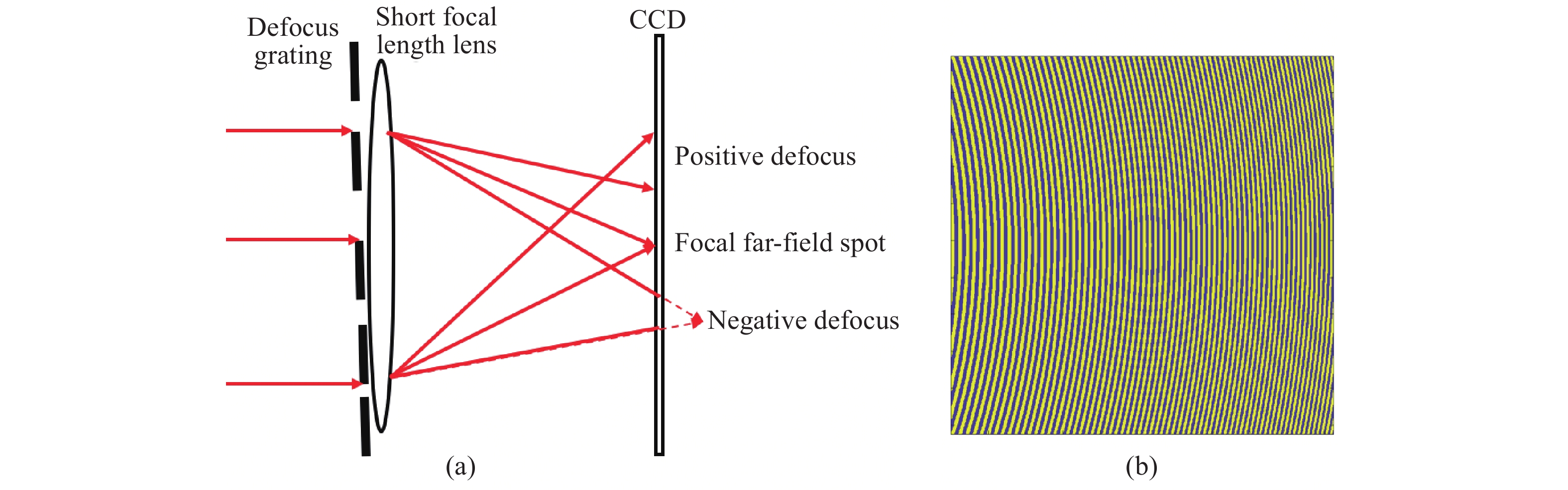 Optical properties(a) and schematic diagram(b) of defocus grating
