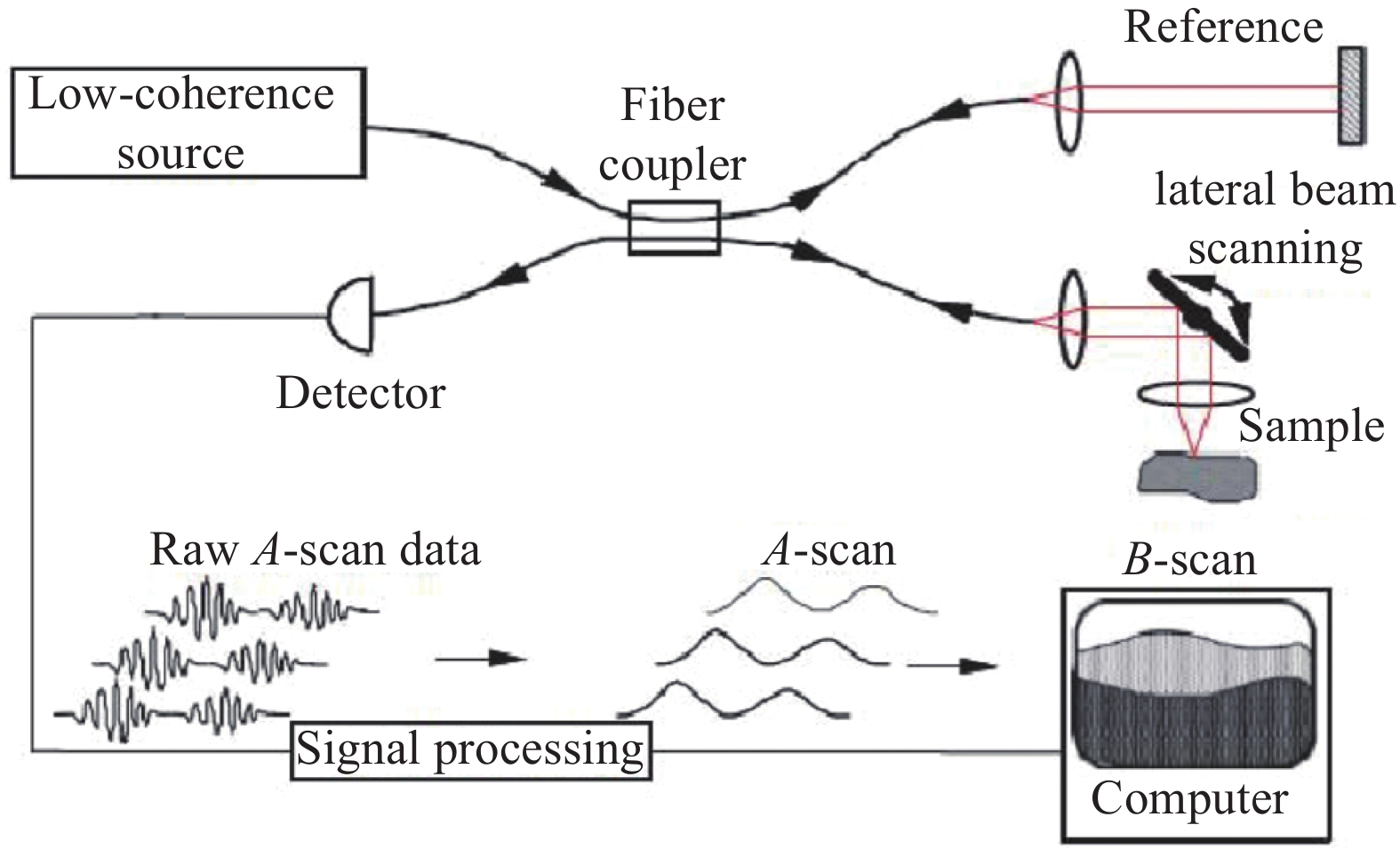 OCT system based on optical fiber[6]