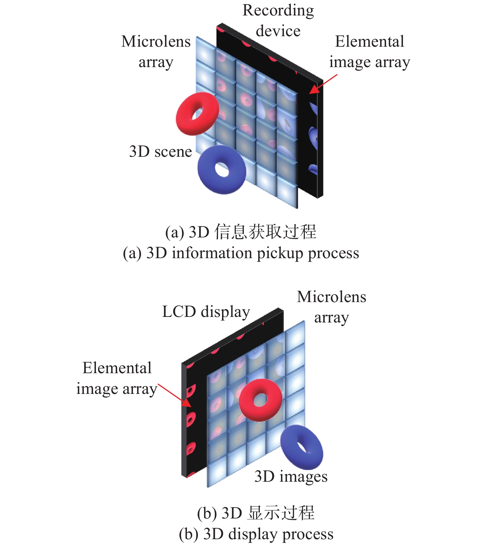 Schematic of integral imaging 3D information acquirement and display processes