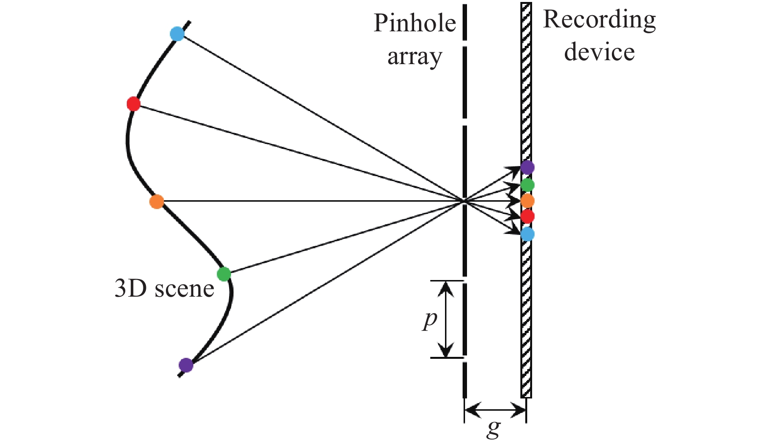 Schematic of light field sampling in the integral imaging 3D information acquirement process
