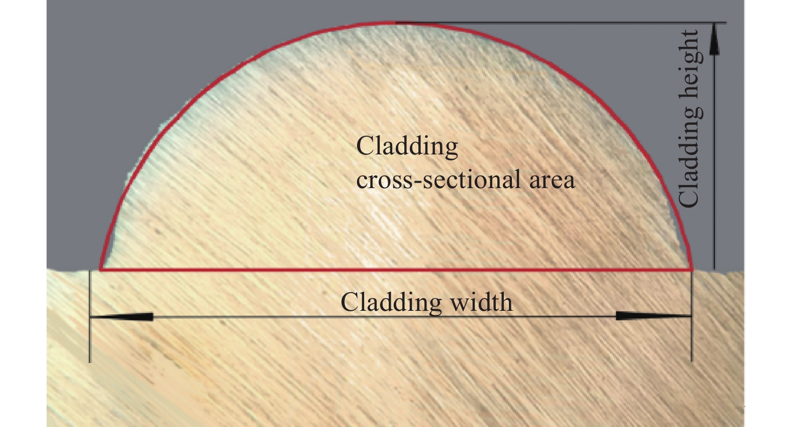 Section morphology of cladding layer