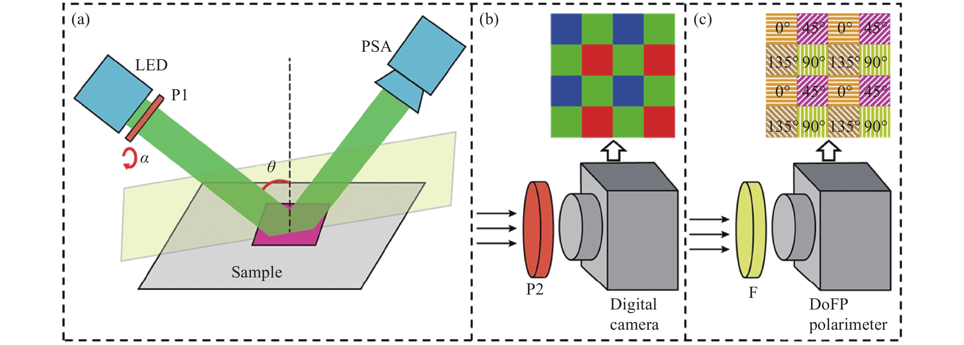 (a) Schematic of the experimental setup; (b) PSA equipped by digital camera; (c) PSA equipped by polarization camera
