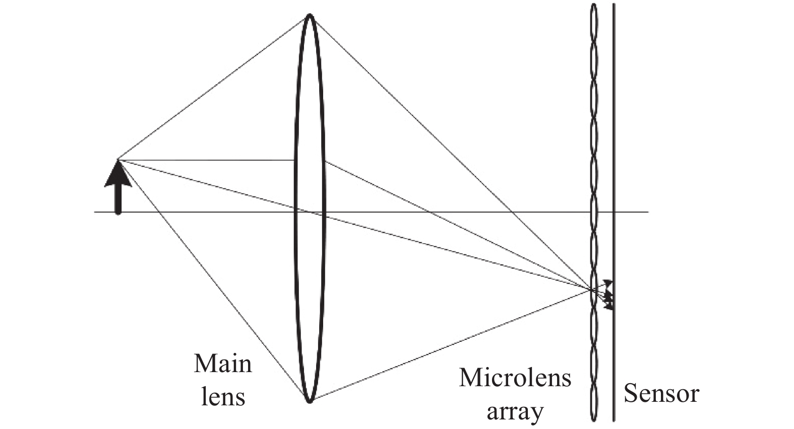 Structure diagram of light field camera