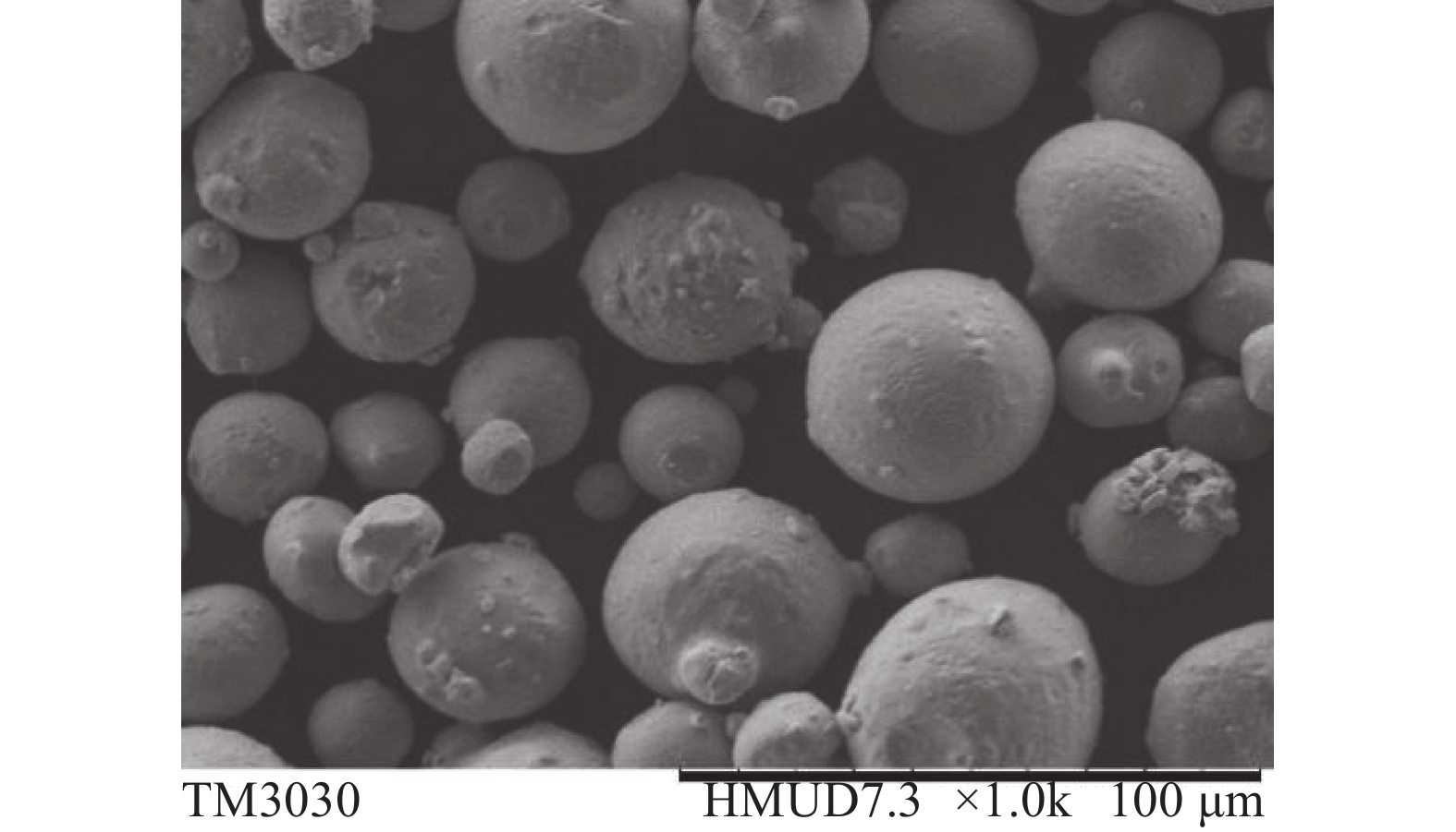 316L stainless steel powder particles