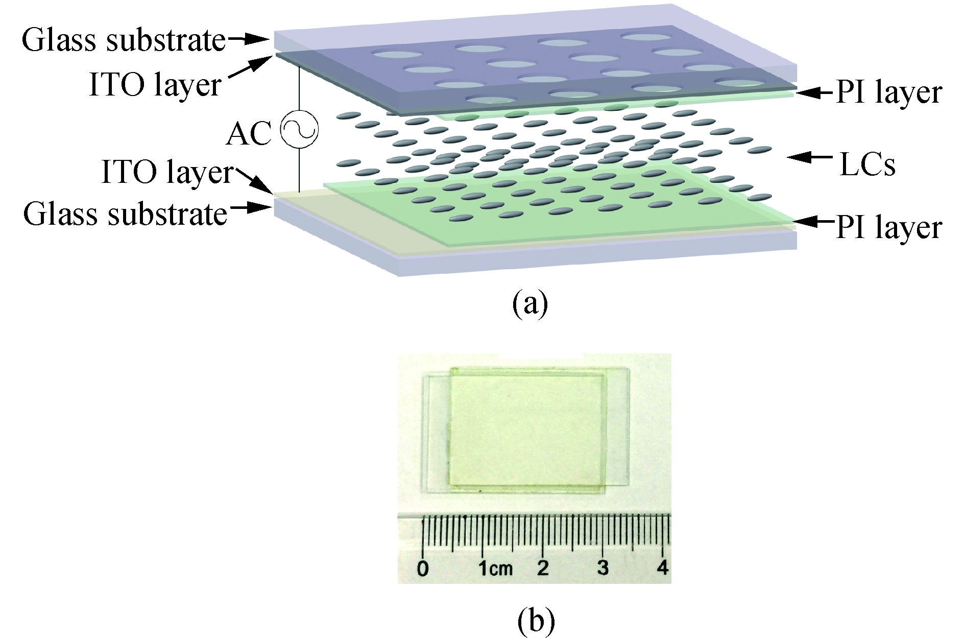 LCMLA device. (a) 3D structure (not in scale) and (b) an actual LCMLA with two conductive tapes