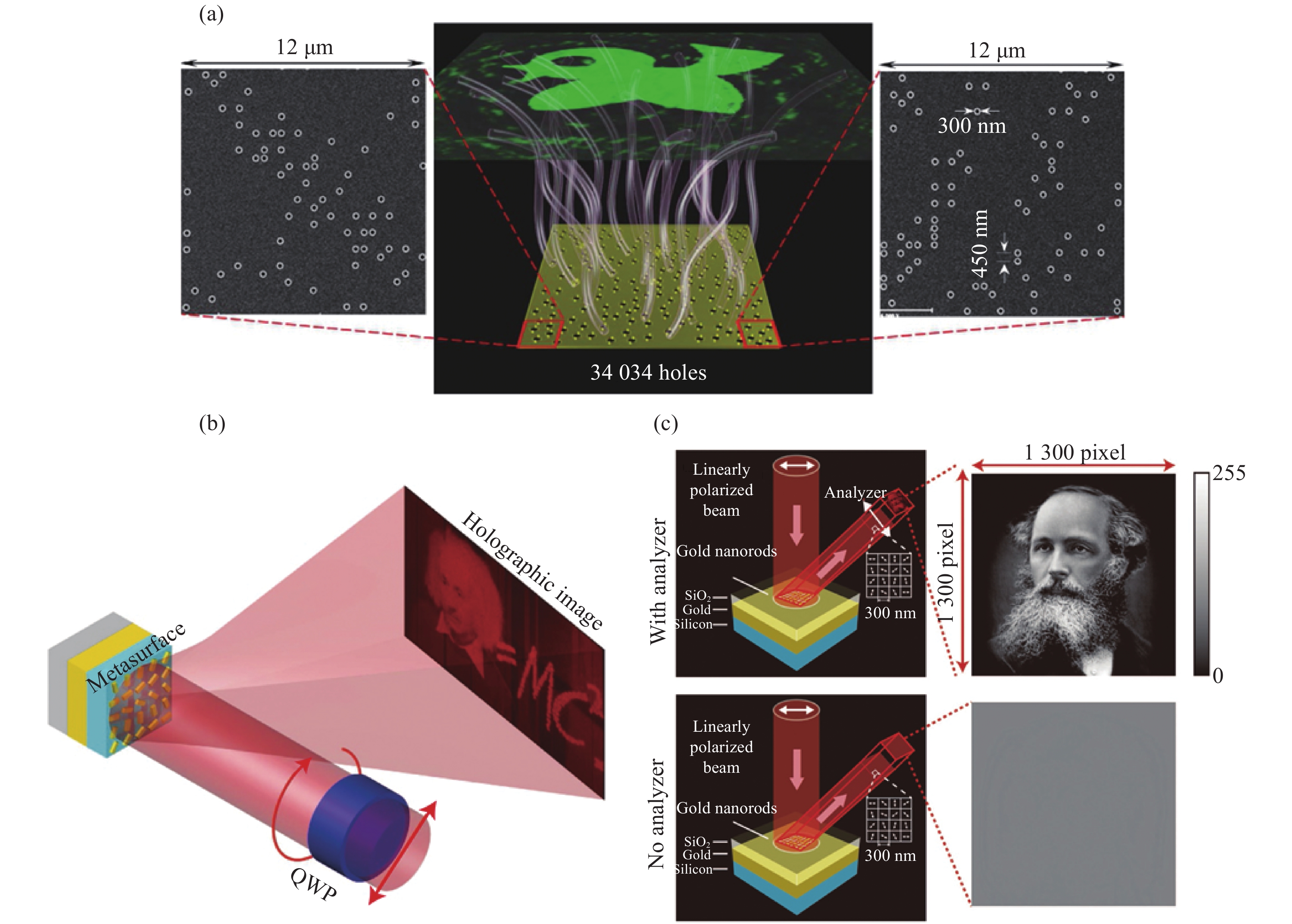 (a) Amplitude-only holography based on subwavelength nanopore diffraction[36]; (b) High efficient phase-only holography based on geometric phase[13]; (c) Hidden metasurface of the polarized image in the laser beam based on Marius's law[37]