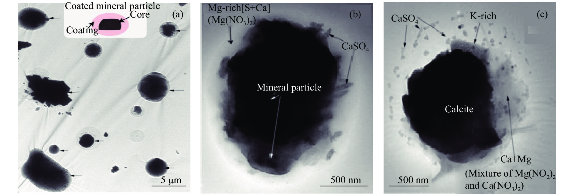 TEM images of the coated mineral dust particles[15]