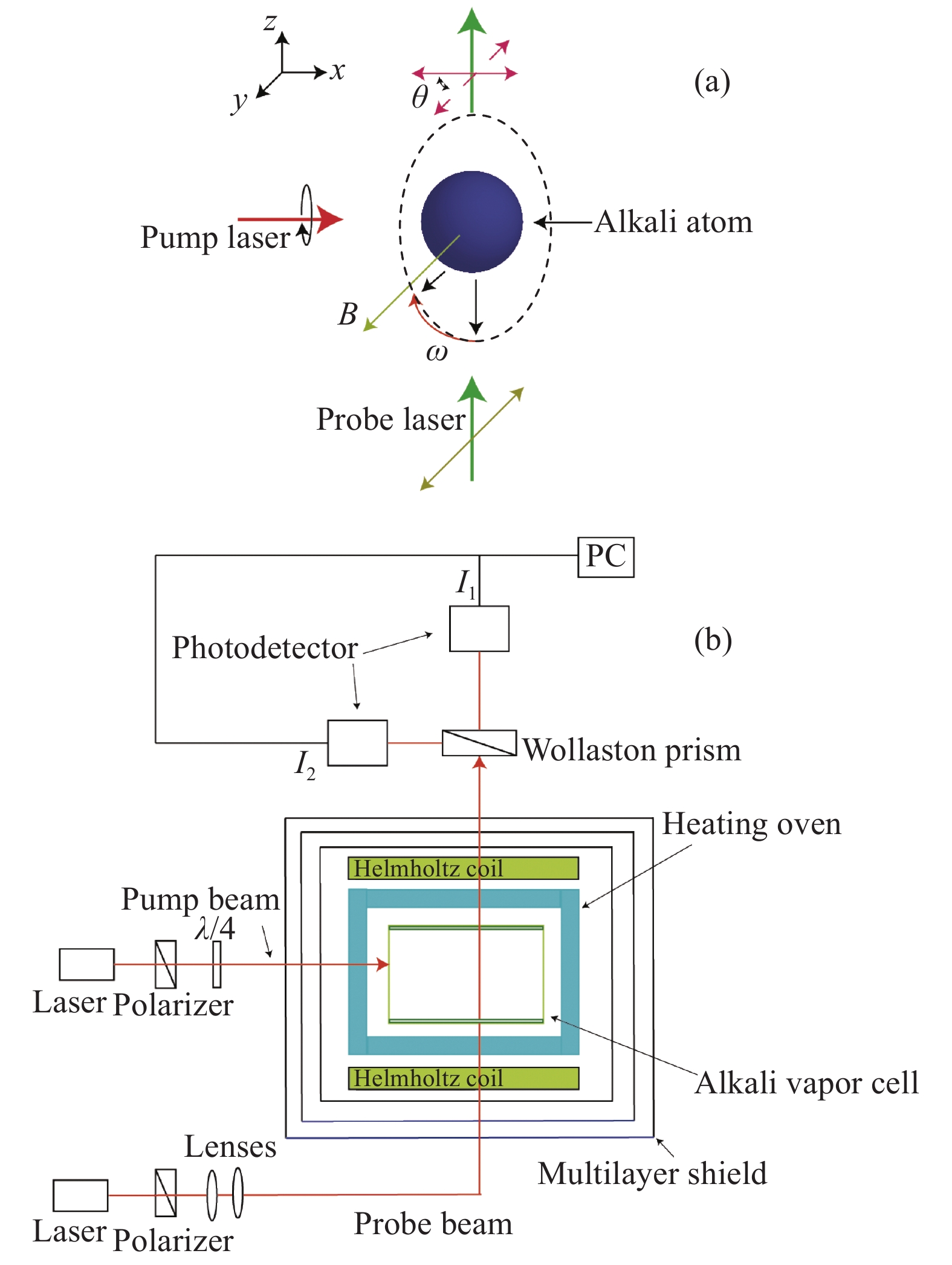 (a) Mechanism of SERF atomic magnetometer; (b) Measurement of setup of SERF atomic magnetometer