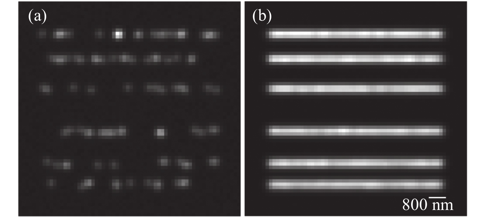 Images of fluorescent molecules by simulation generated. (a) A frame image; (b) Wide-field image by 500 frames accumulated