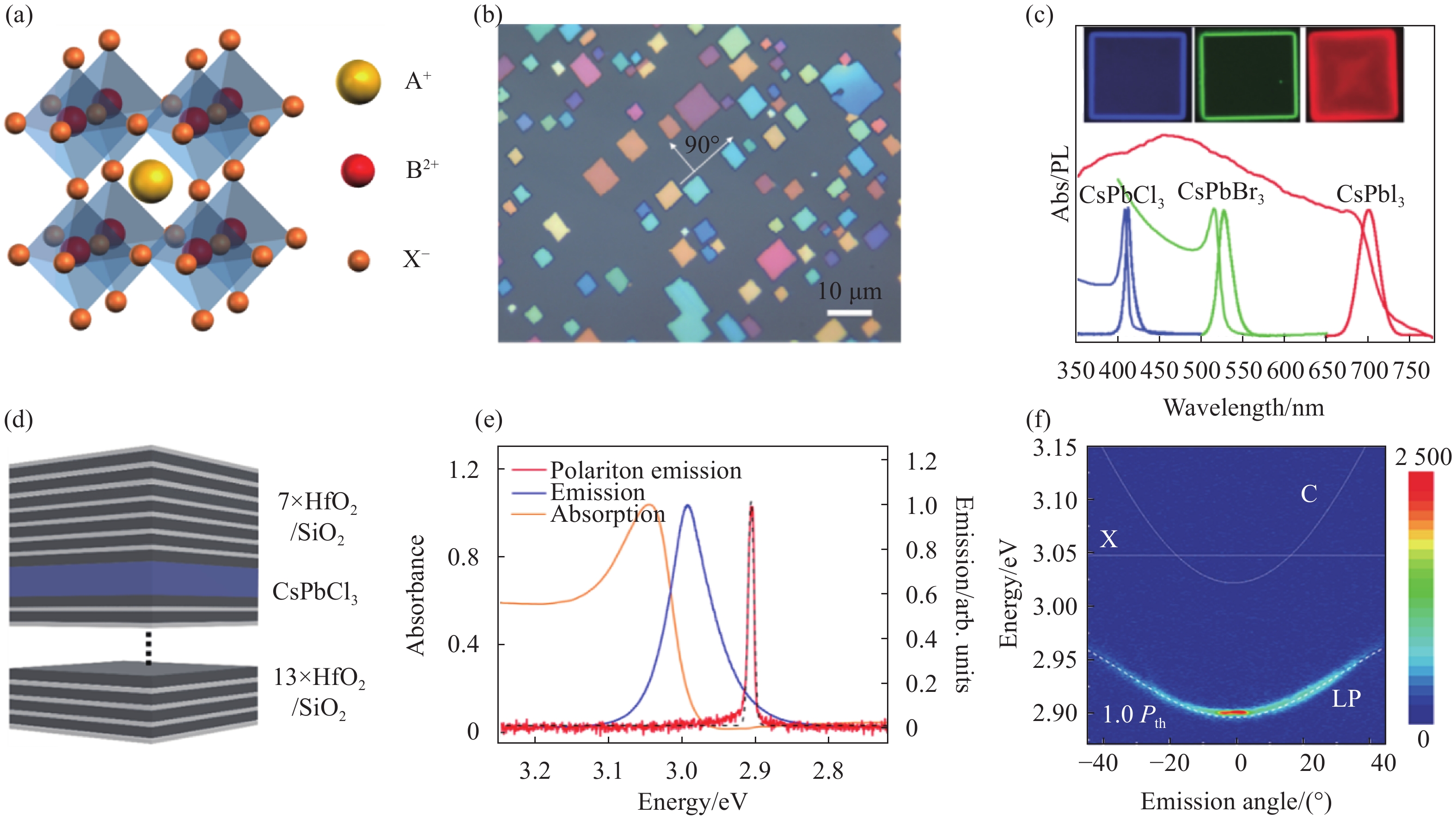 Fundamental optical properties of three-dimensional halide perovskites and exciton-polaritons in microcavity