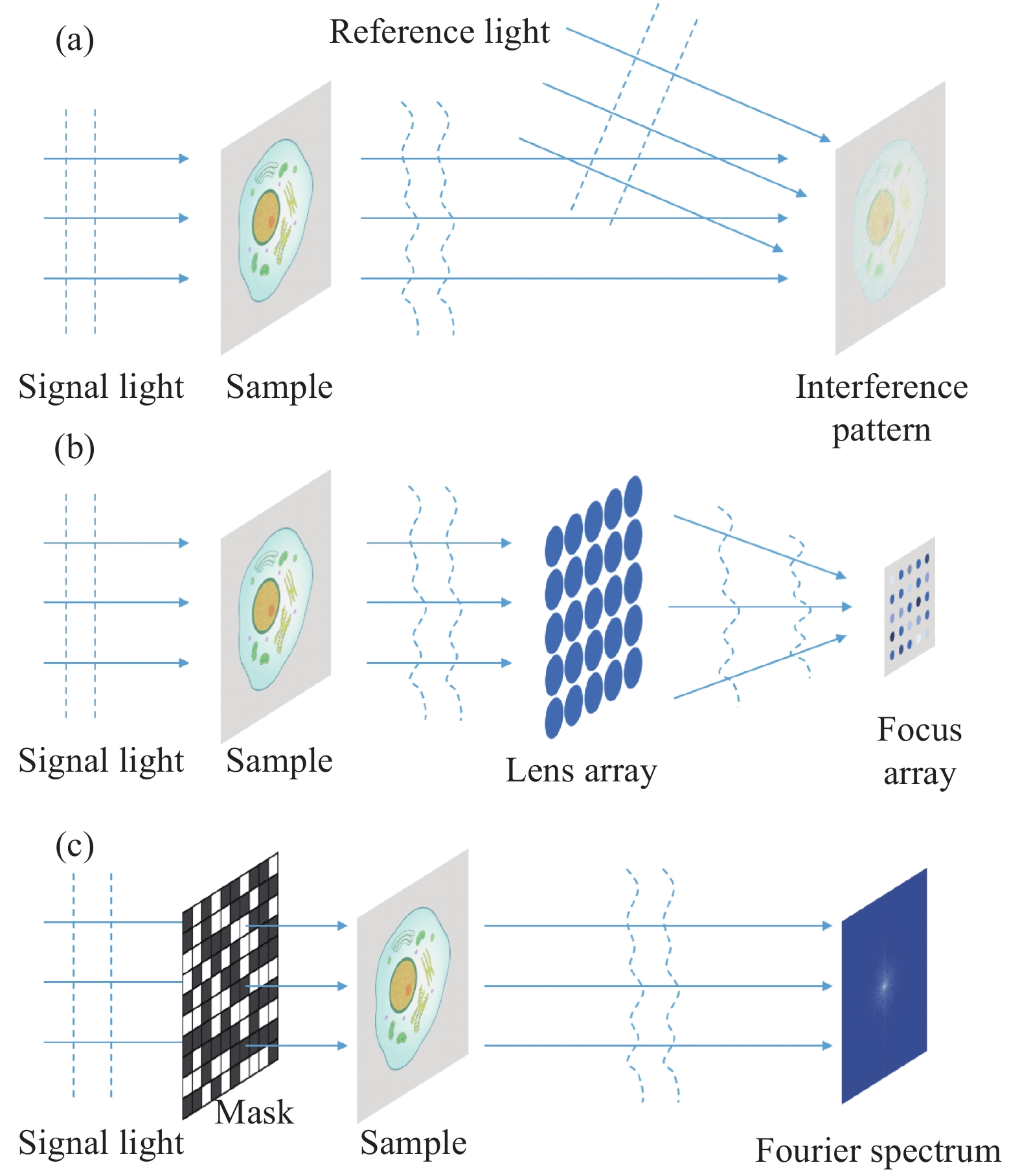 Complex amplitude imaging with interferometric and non-interferometric approaches