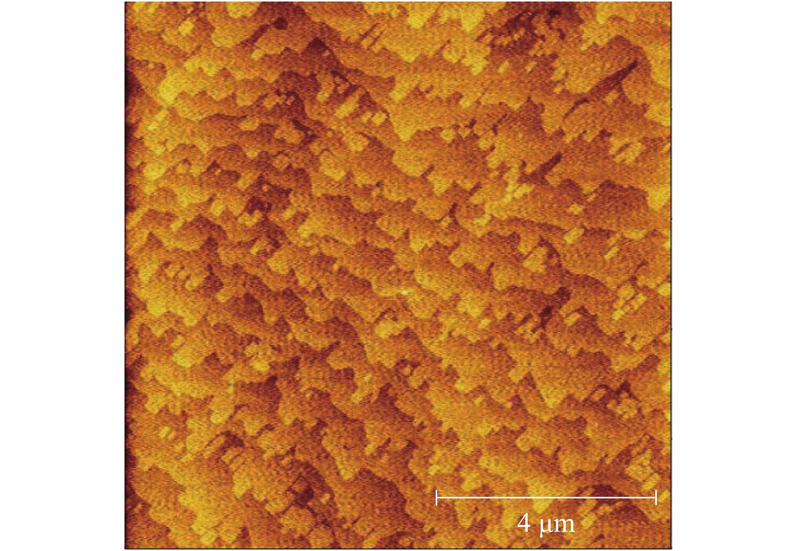 AFM image of the epilayers of the TPV devices