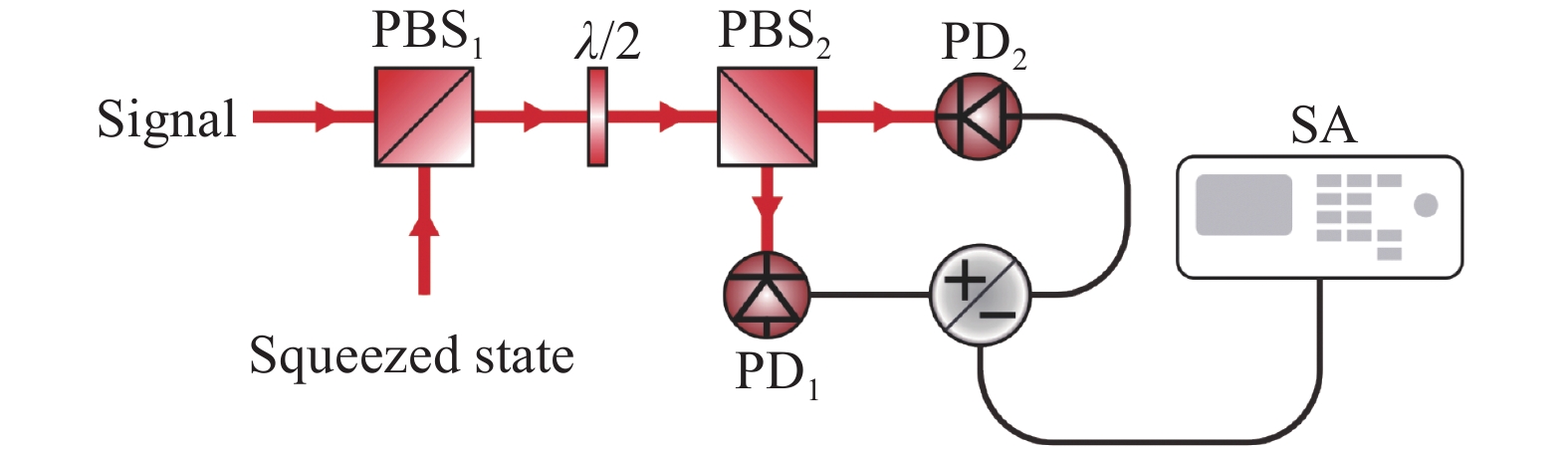 Theoretical diagram of the quantum enhanced self-homodyne detection (PBS: polarization beam splitter; PD: photodetector; SA: spectrum analyzer)