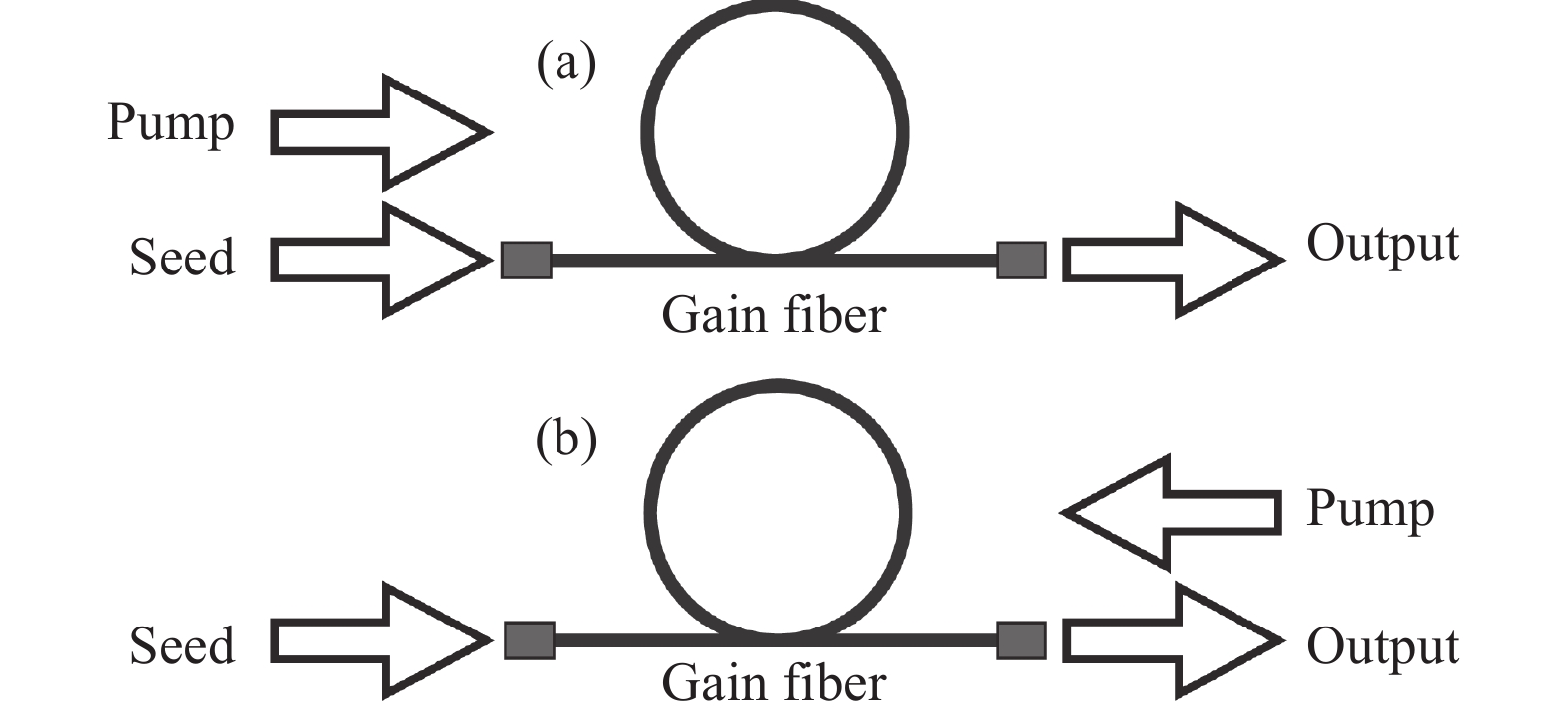 Self-similar amplification in different pump schemes. (a) Forward pump, (b) backward pump