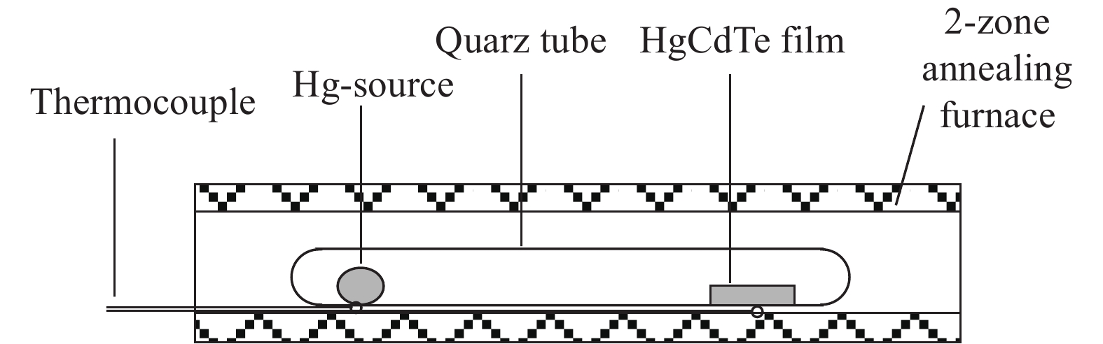 Schematic of the Hg-rich annealing experiment