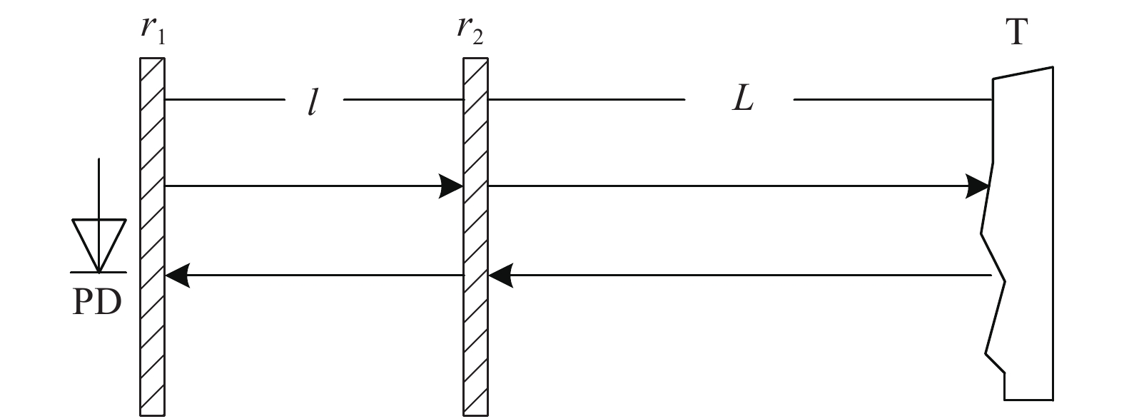Theoretical model of laser feedback speckle interference