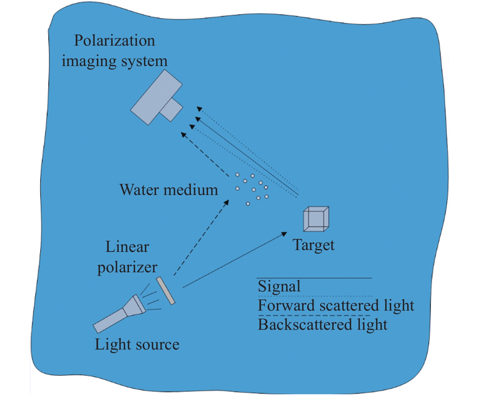 Underwater polarization imaging