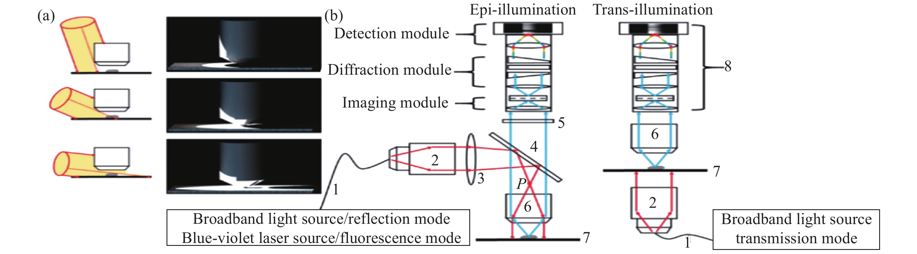 (a) Schematic diagram of the shadow generation under lateral illumination condition; (b) Illustration of multi-mode detections. Reflection mode and fluorescence mode use epi-illumination, while transmission mode employs trans-illumination. Schematic diagram of each component: 1. Single mode fiber, 2. Fiber collimator, 3. Doublet lens, 4. Beam splitter, 5. Long pass filter, 6. Objective, 7. Sample and motion stage, 8. Infinity-corrected hyperspectral imaging system, consisting of the imaging module[27]