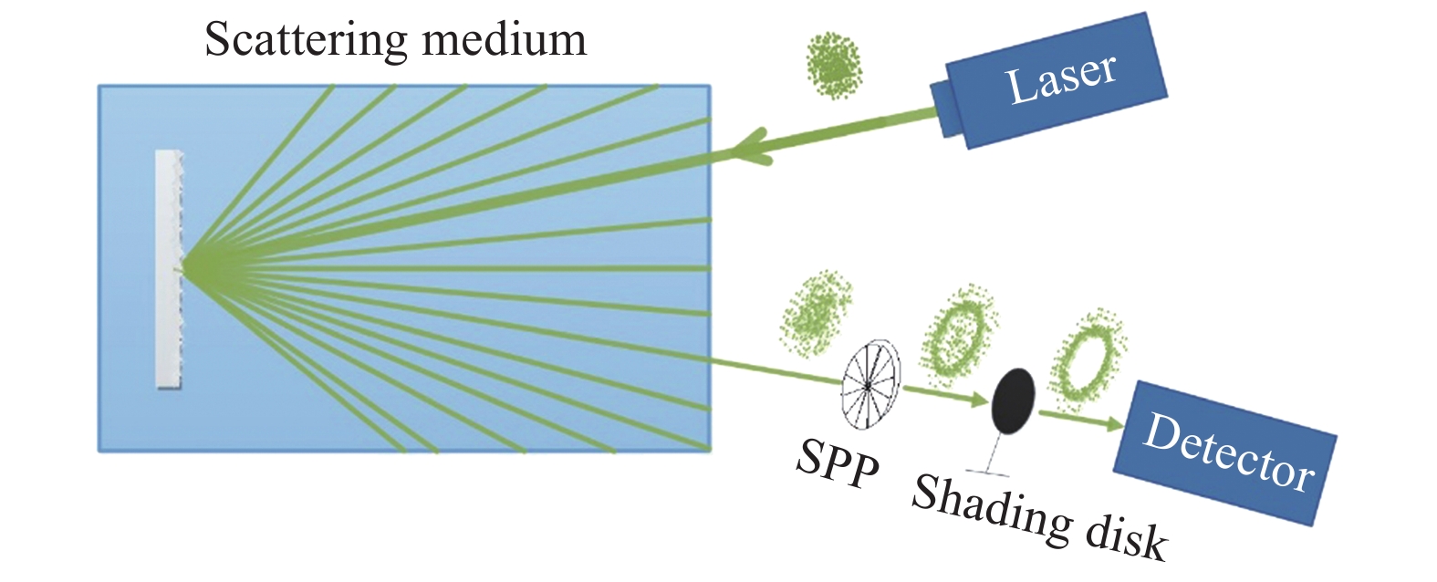 Schematic diagram of spatial filtering of vortex light field in detection lidar in strong scattering environment