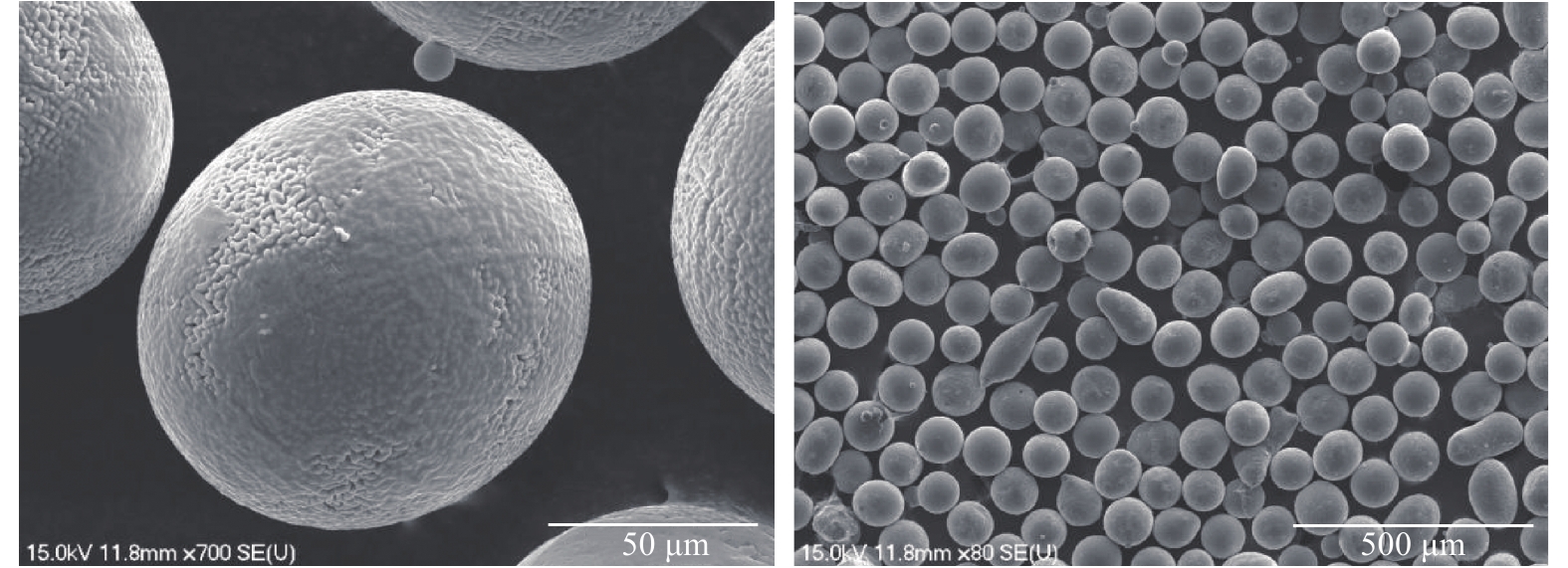 Micromorphology of AlSi10Mg powder