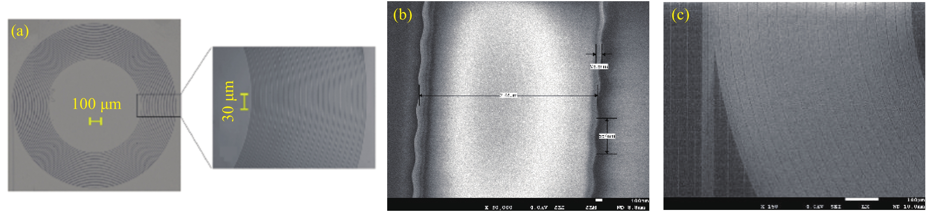 Silicon integrated chirp Bragg grating chip. (a) Micrograph; (b) SEM of waveguide; (c) SEM of spiral grating