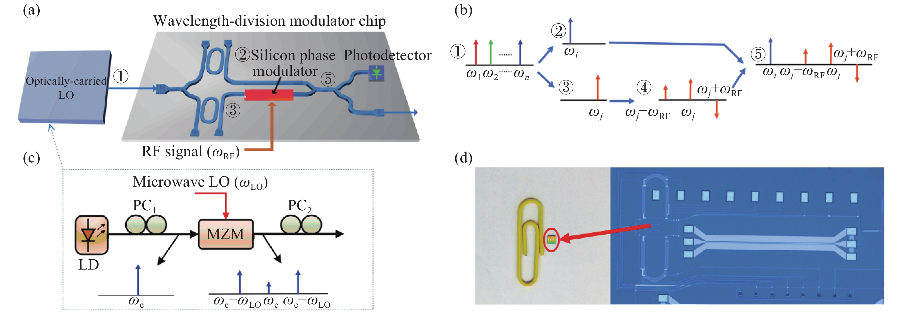 (a) Schematic diagram of the proposed microwave photonic frequency mixer; (b) Optical signal at the main point of the system; (c) Optically-carried local oscillator used in the experiment; (d) Photographs of the wavelength-division modulator chip