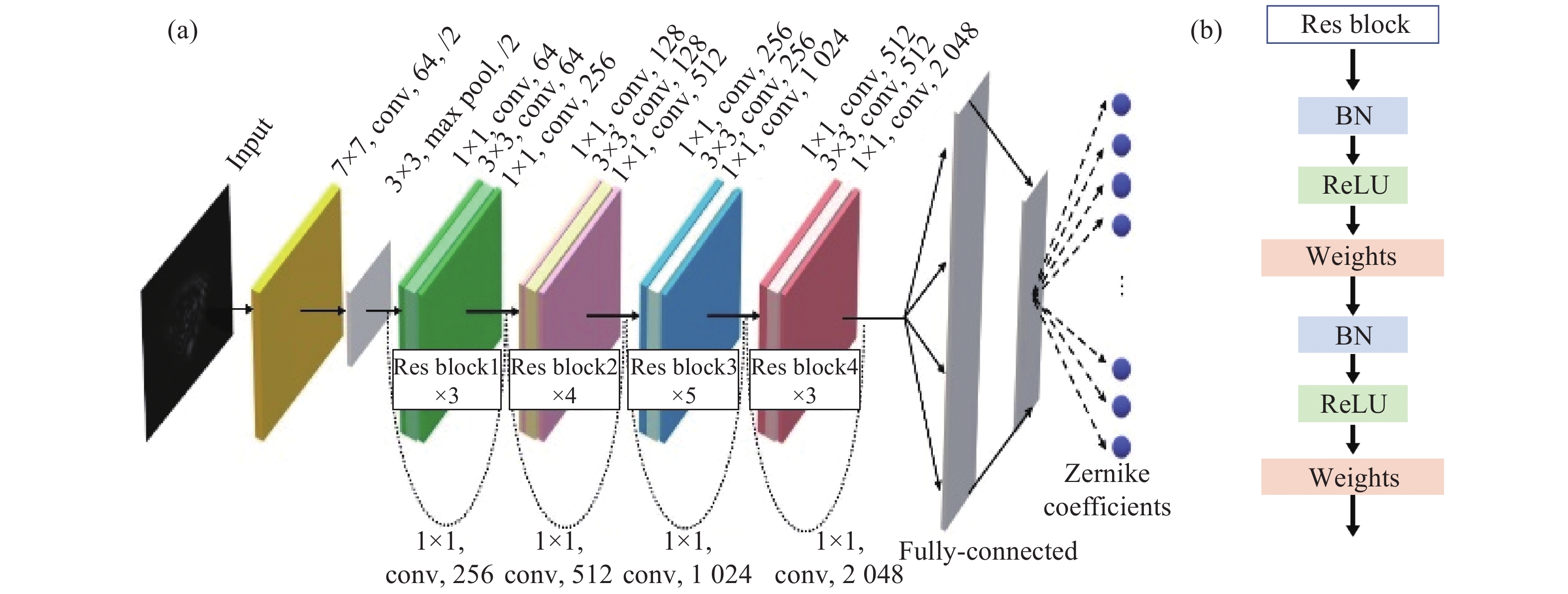 ResNet-50 architecture to estimate Zernike coefficients. (a) Composition of the network; (b) Structure of residual block