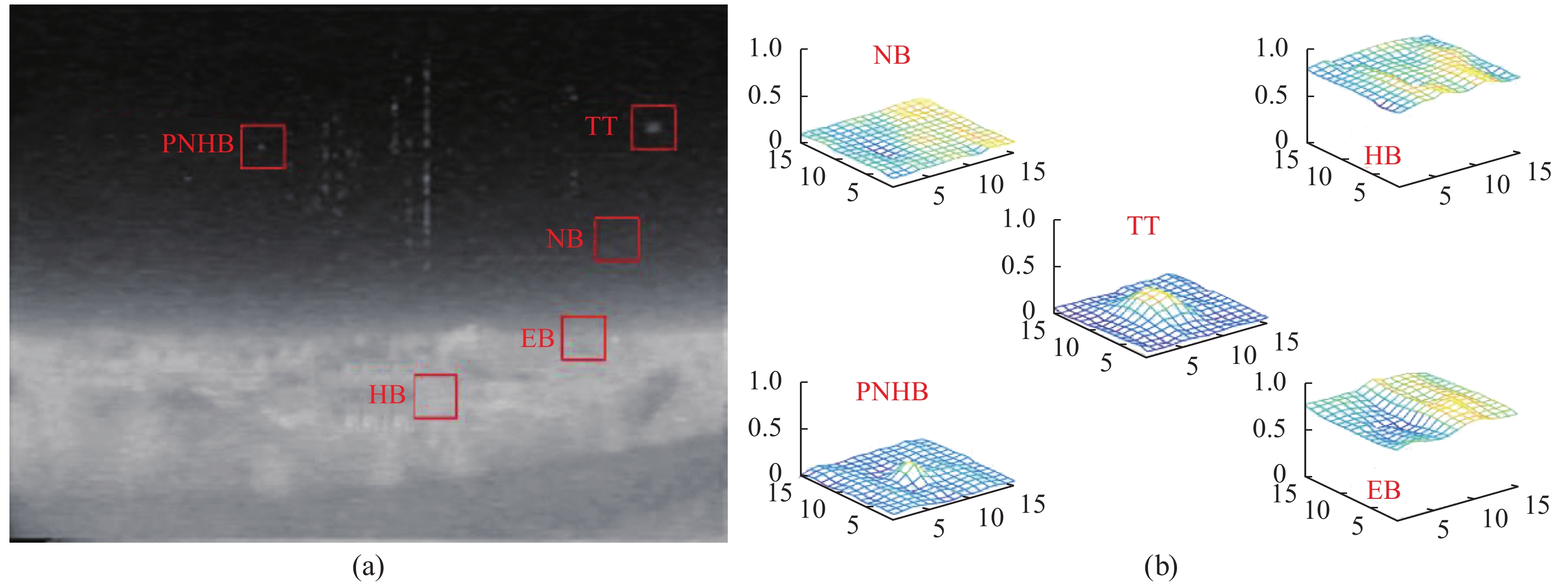 (a) A sample of real IR image; (b) 3D distributions of different types of components. Here, TT represents true small target, NB represents normal background, HB represents high brightness background, EB represents complex background edge, and PNHB represents Pixel-sized Noises with High Brightness