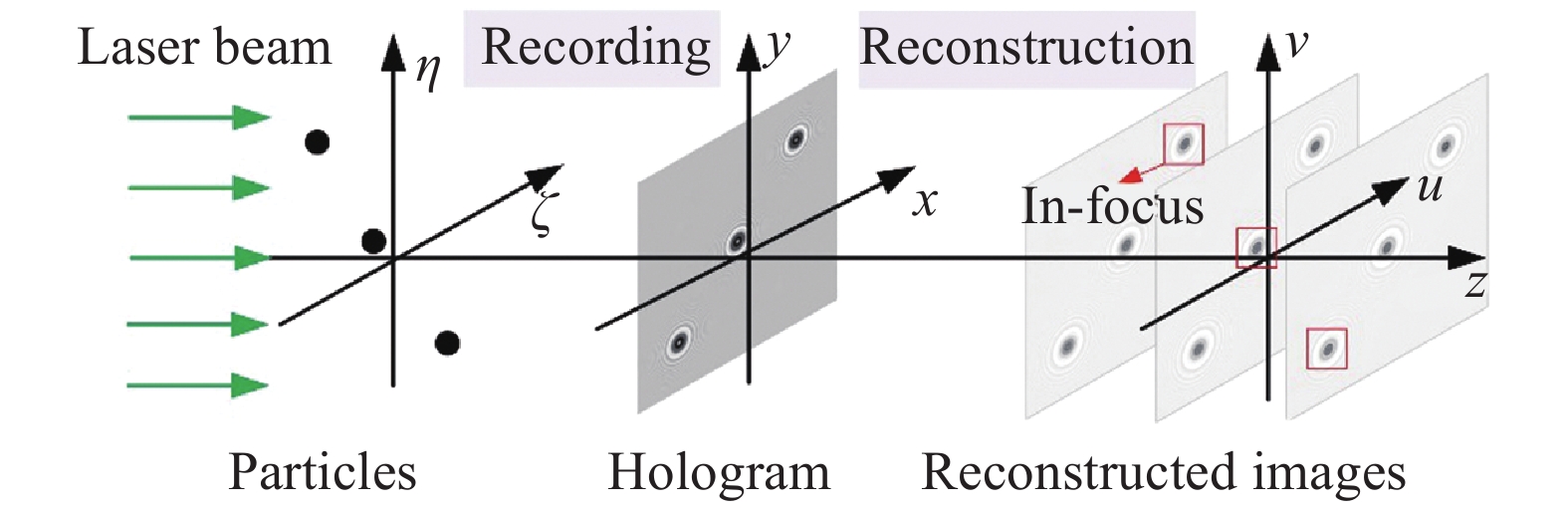 Recording and reconstruction of digital holography