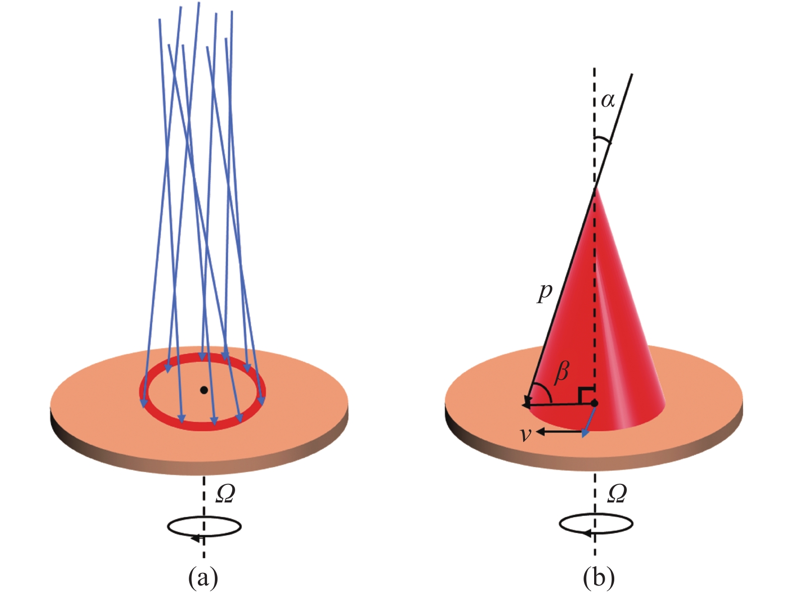 (a) A vortex beam illuminates on the surface of a rotating object vertically; (b) Pointing vector distribution of vortex beam