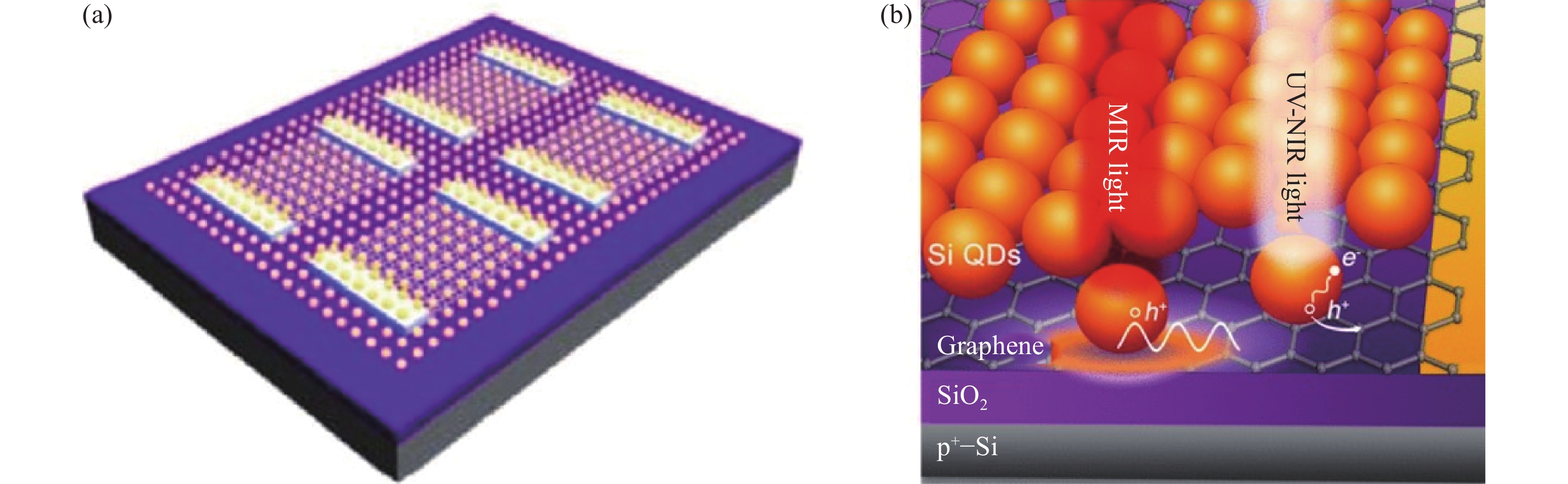 Typical structure of graphene detector based on plasmon resonance filed enhancement. （a） Structural diagram of the graphene/gold nanoparticle photodetector[13]; （b） Structural diagram of the graphene/Si QDs phototransistor[14]