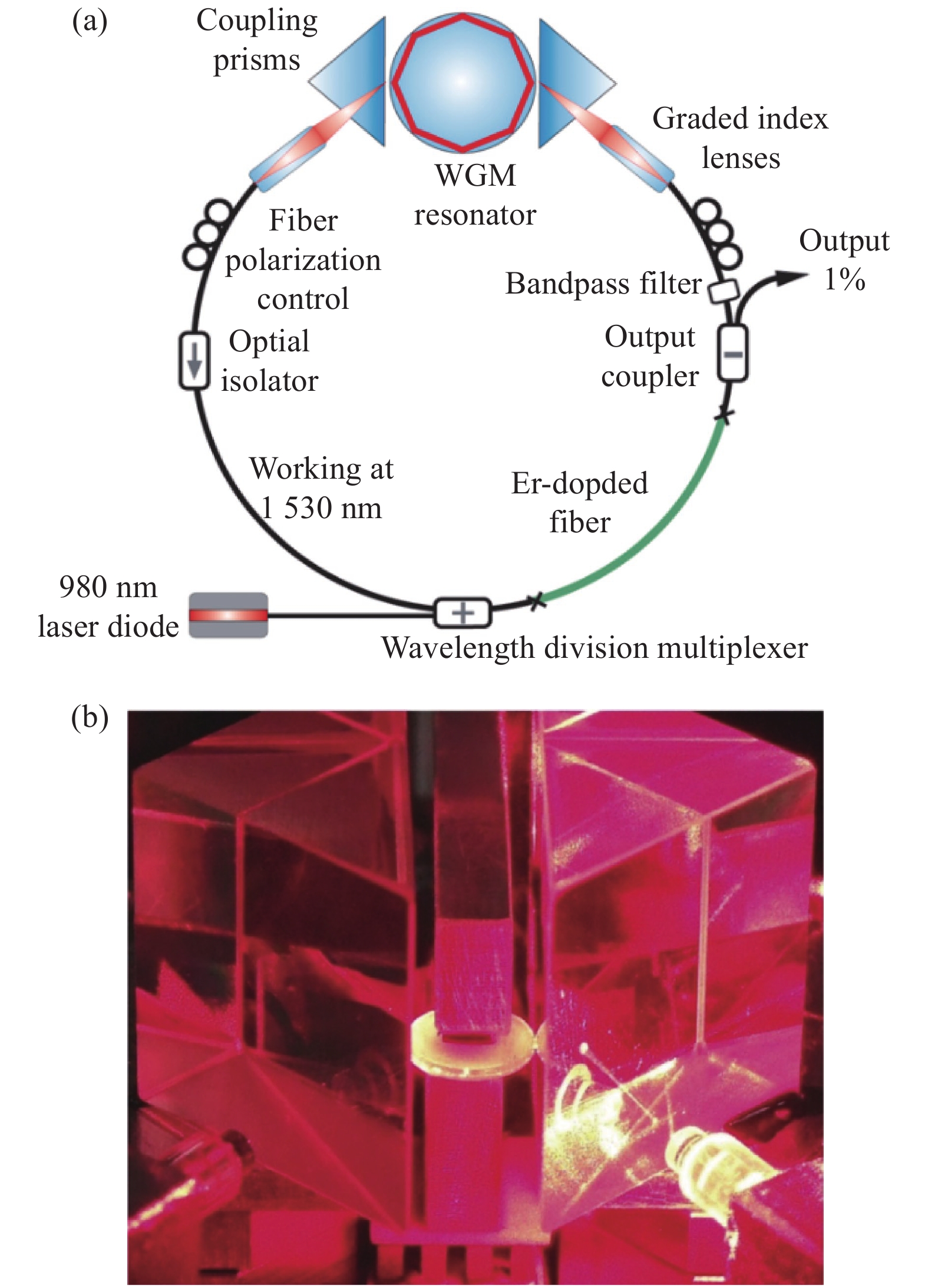 (a) Schematic of the narrow-linewidth single-frequency Er3+-doped fiber laser based on a whispering gallery mode (WGM) micro-resonator; (b) Photograph of the WGM resonator[10]