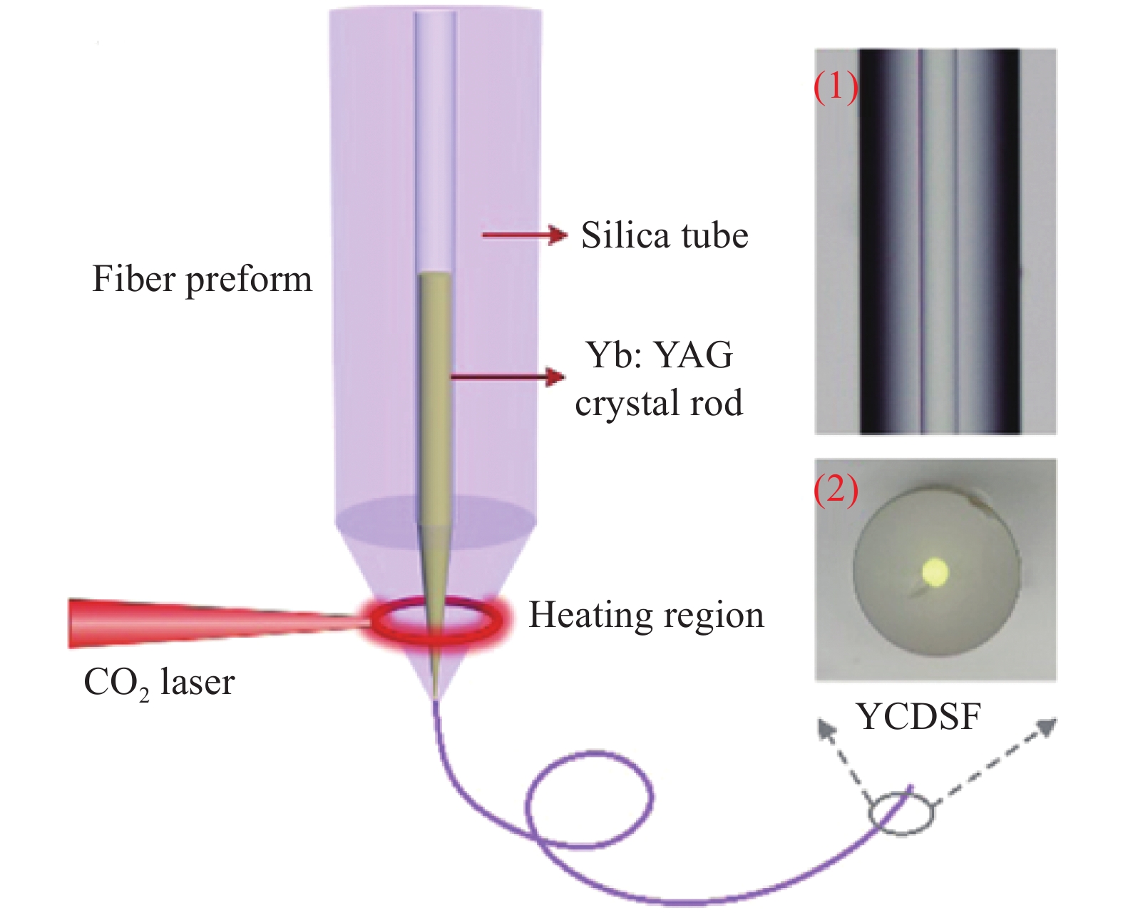 Schematic diagram of Yb3+-doped crystal-derived silica fiber fabrication using the preform with a YAG crystal core and a silica cladding, where the insets are the optical images of the (1) side view and (2) cross-sectional view of the crystal-derived silica fiber[19]