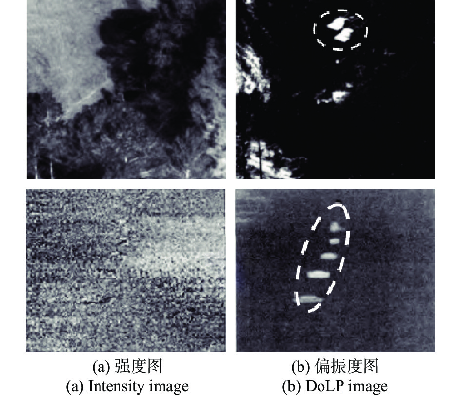 Infrared polarization imaging results of two scenes